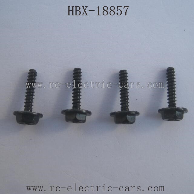 HBX-18857 Car Parts Wheel Screws
