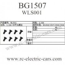 Subotech BG1507 Car Screws WLS001