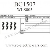 Subotech BG1507 Car Screws WLS005