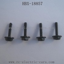 HBX-18857 Car Parts Wheel Screws