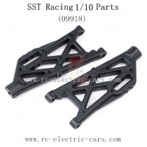 SST Racing 1997 1995 1999 Parts-Lower Arms 09918