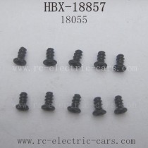 HBX-18857 Car Parts Screw 18055