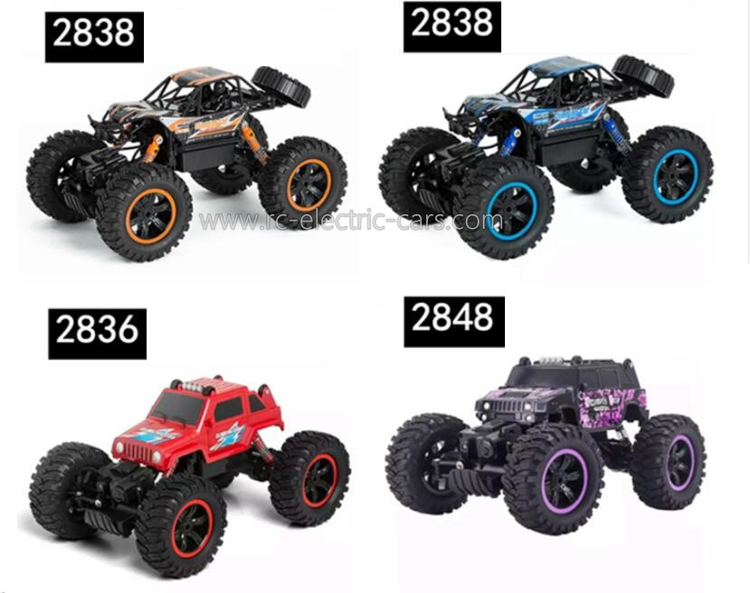 MZ 2838 2448 RC Car